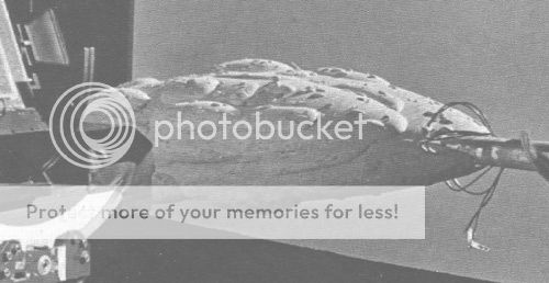 July_1983_CINEFEX_wingless_zps2spsg0qv.j