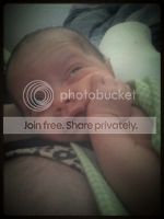  photo 3598d768-75cb-4524-97f0-d58a4d73fa32_zps79fbf811.jpg