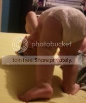  photo c08d103d-7e61-4d5b-bf82-1304d180aa19_zps1f20e5c1.jpg