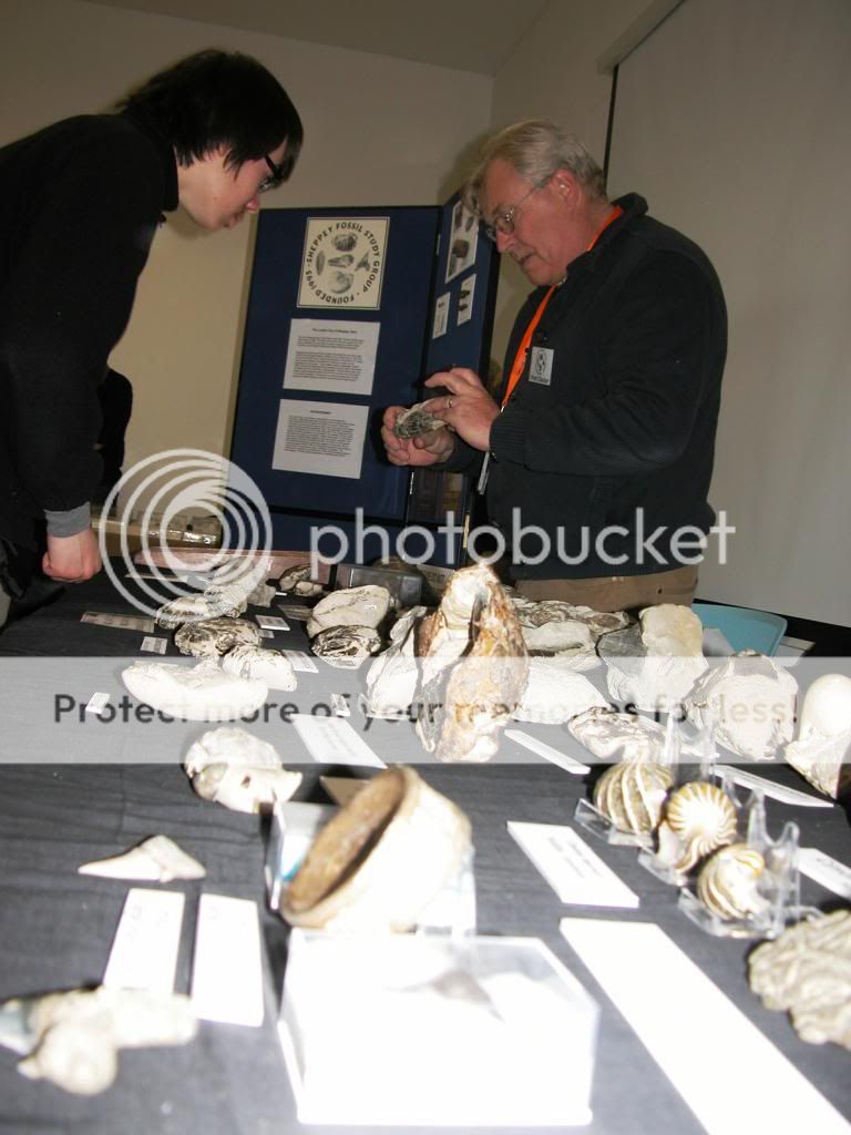 Fred Clouter discusses a London Clay fossil