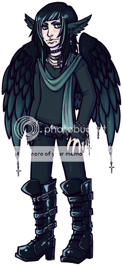 User Image