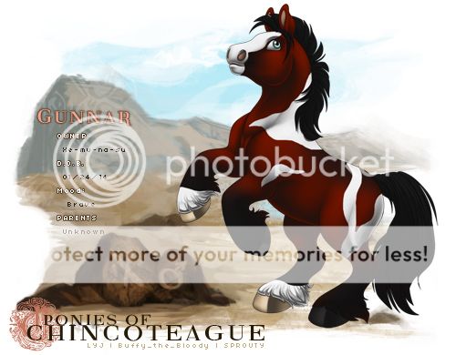 User Image