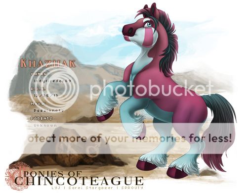 User Image