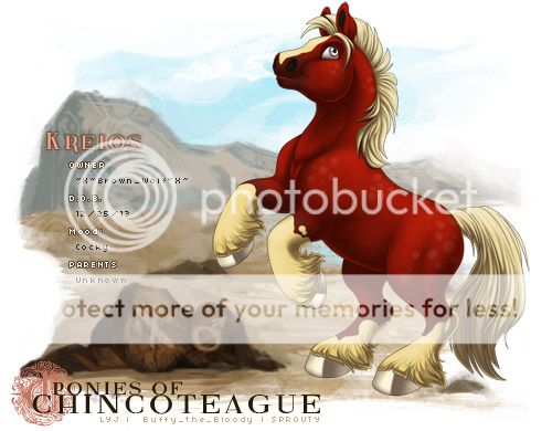 User Image