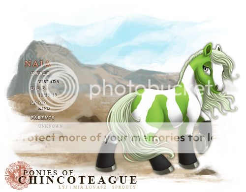 User Image