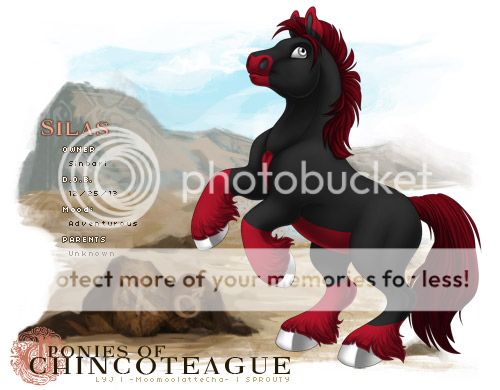 User Image