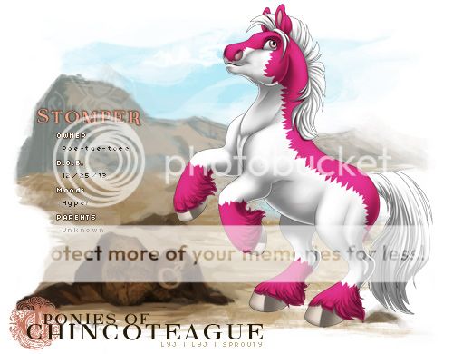 User Image
