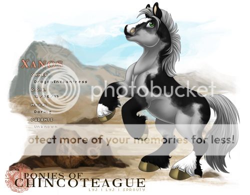 User Image