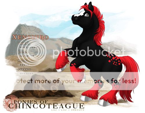 User Image