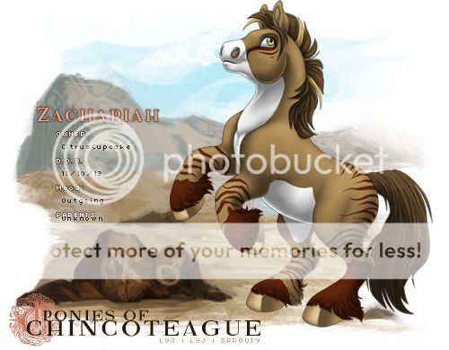 User Image