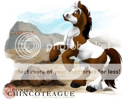 User Image