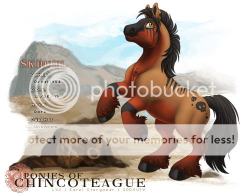 User Image