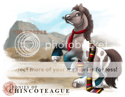 User Image