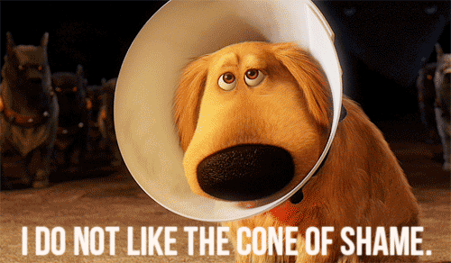 Cone of Shame photo My-Internet-Behavior-in-gif-Format-Imgur_zps72bc1cc3.gif