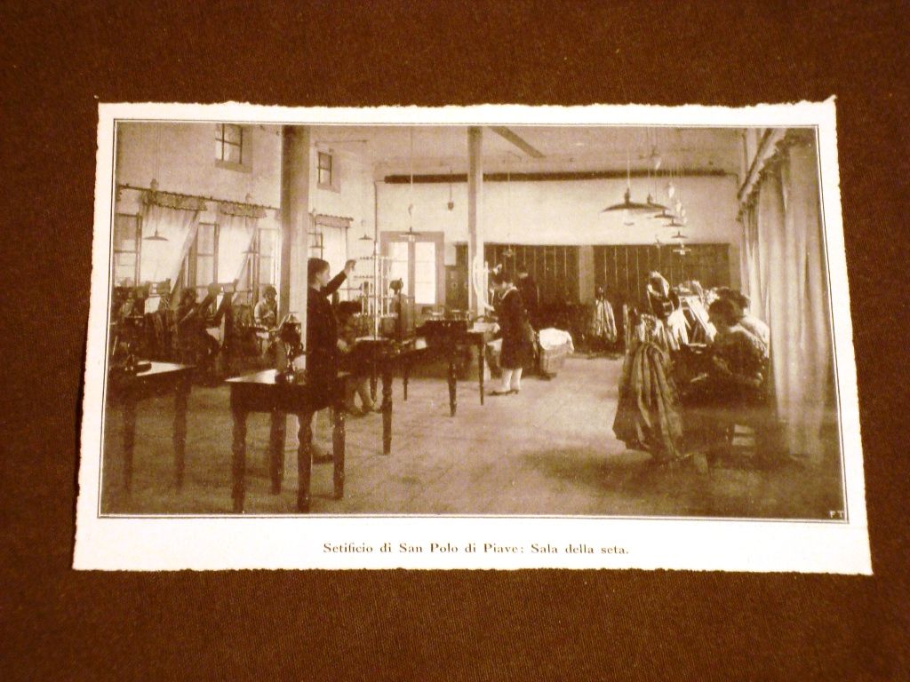  photo DSC05816_zpsa8b0b339.jpg