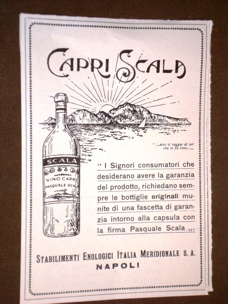  photo DSC07438_zps70e6e85c.jpg