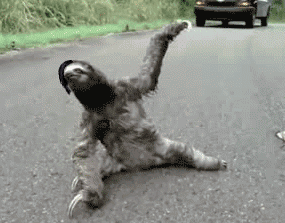  photo tumblr_nbc3ybl0qg1tv4oc6o1_400_zpspvskf5cn.gif